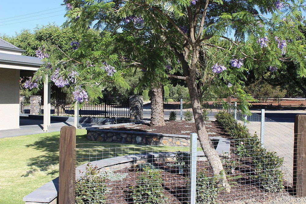 Barossa Bed & Breakfast Tanunda Exterior photo
